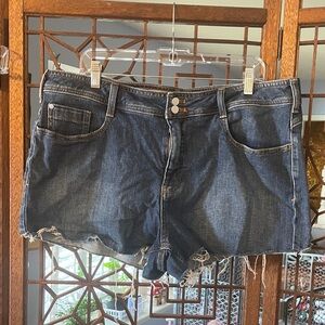 Pilcro Dark Blue Distressed Denim Cutoff Shorts